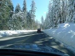 Yosemite_Valley (19)